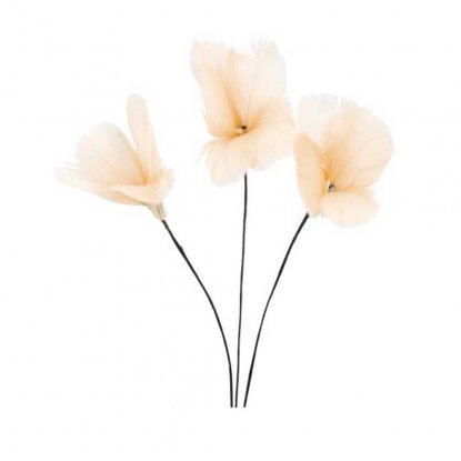 Fjær med tråd, blomst, aprikos, 12-pakning