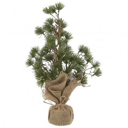 Sedertrær med jutefot 34 cm