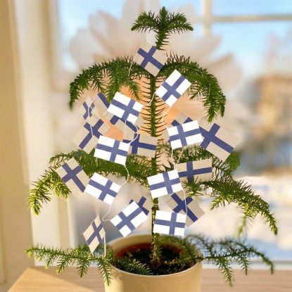 Flagggirland Finland