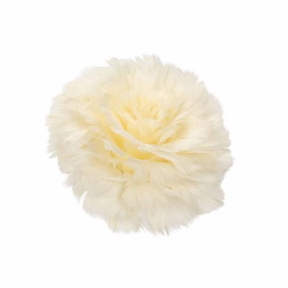 Fjærblomst med klips, vanilje