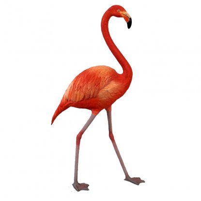 Rosa flamingo 99 cm