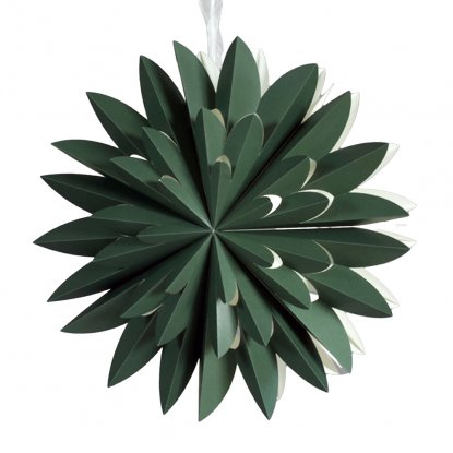 Hyacint Star Grønn 50 cm – Pr Home
