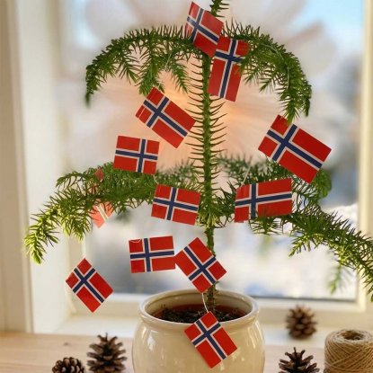 Flagggirlande Norge