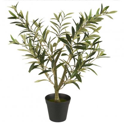 Olivenbusk i krukke, 67 cm