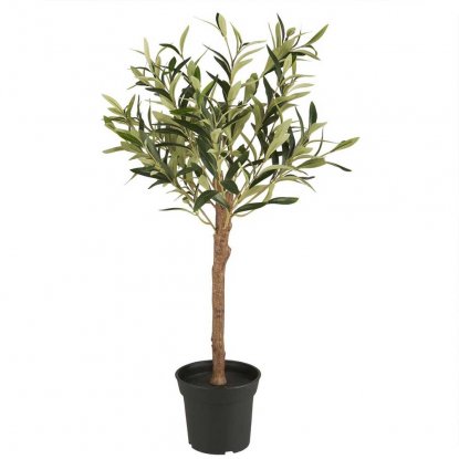 Olivtre i krukke, 75 cm