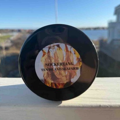 Tørket sukkertang, boks à 10 g – Ten Island Seafarm