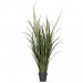 Dunbørstegress, kunstig plante, 122 cm