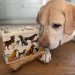 Hundeboks fra Emma Bridgewater