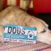 Plateskilt med «Dogs Welcome»-anheng