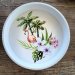 Plateskive i flamingo