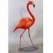 Rosa flamingo 99 cm