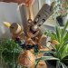 Disney-figuren Lumiere