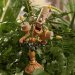 Disney-figuren Lumiere