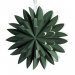 Hyacint Star Grønn 50 cm – Pr Home