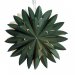 Hyacint Star Grønn 50 cm – Pr Home