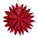 Hyacint Star Rød 50 cm – Pr Home