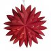 Hyacint Star Rød 50 cm – Pr Home
