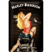 Harley Davidson Bikerbabe metallskilt 20 x 30 cm