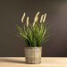 Dunborstgress, kunstig plante, 56 cm