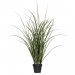Dunbørstegress, kunstig plante, 100 cm