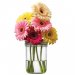 Mason-krukke – Froglid Blomlock grønn – Bred åpning