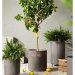 Blomsterpotter i industriell stil, sett med 3 stk.