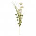 Blomkvist Nuanser Creme