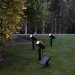 Solcelledrevne spotlys Powerspot x 3 stk.