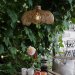 Belle taklampe Outdoor Natur – Pr Home
