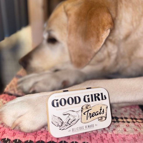 Metallveske – Treats Good Girl