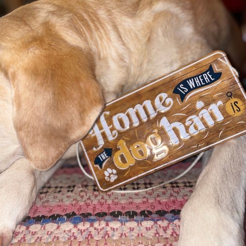 Plateskilt med Doghair-anheng