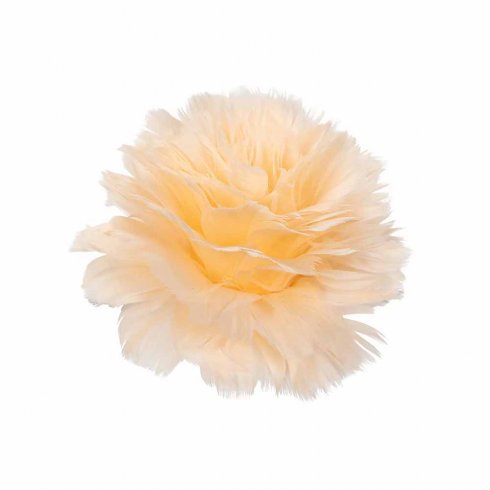 Fjærblomst med klips, aprikos