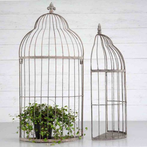 Fuglebur på veggen