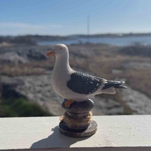Fiskemåke ved fortøyning, 11 cm
