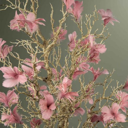 Fjærblomst, gammelrosa, 12-pakning