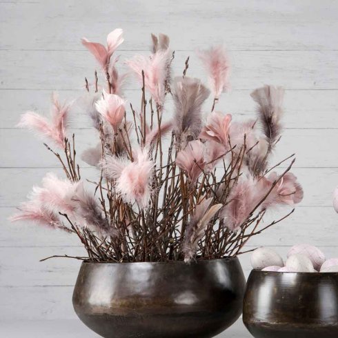 Fjærblomst, gammelrosa, 12-pakning