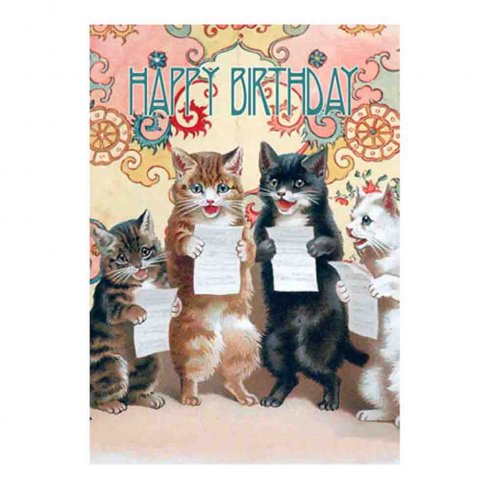 Dobbel bursdagskort «Happy Birthday Cats»