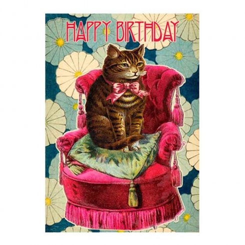 Dobbel bursdagskort «Happy Birthday Cat»