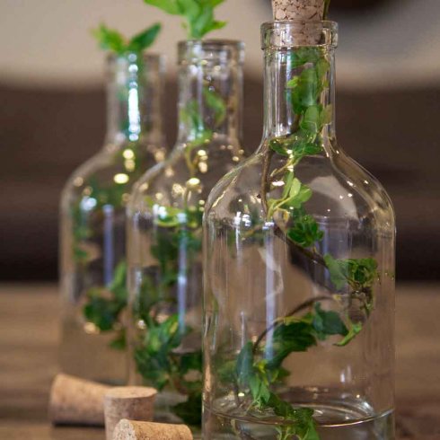 Glassflaske med kork, gjennomsiktig, 150 ml