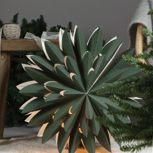 Hyacint Star Grønn 50 cm – Pr Home