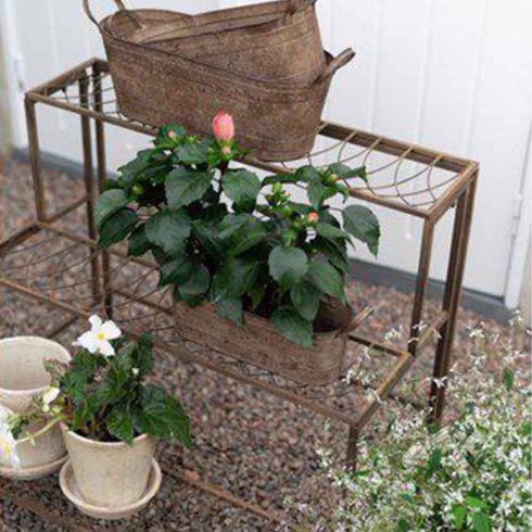 Valeria Blomhylla 3 trinn – Wikholm Form