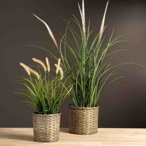 Dunborstgress, kunstig plante, 56 cm