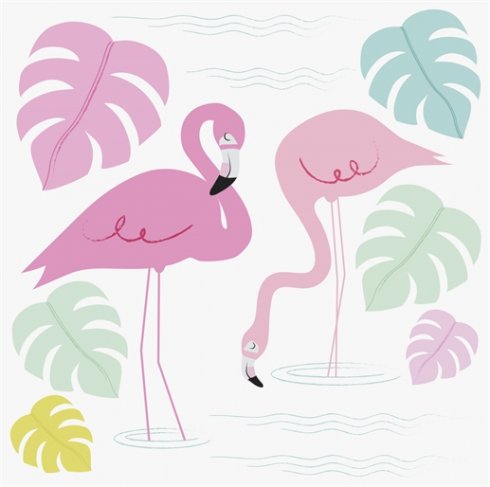 Kort til bursdagen i Flamingo Bay