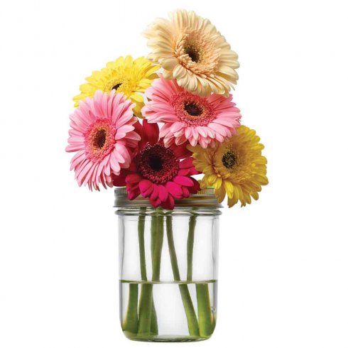 Mason-krukke – Blomlock, 4-pakning