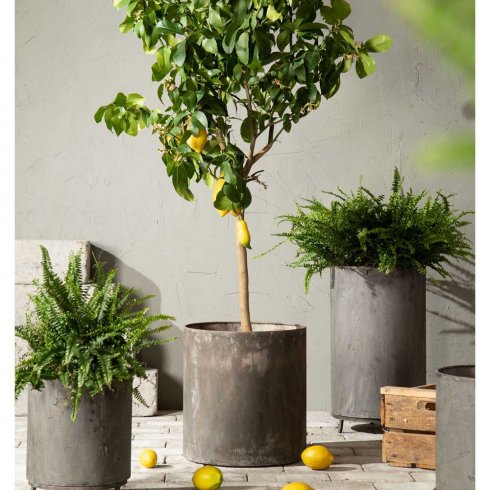 Blomsterpotter i industriell stil, sett med 3 stk.