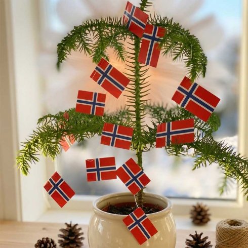 Flagggirlande Norge