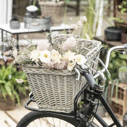 Blomkvist Nuanser Creme