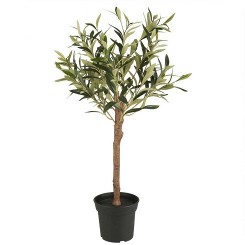 Olivtre i krukke, 75 cm