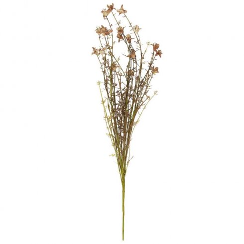 Blomkvist Nyanser Brun