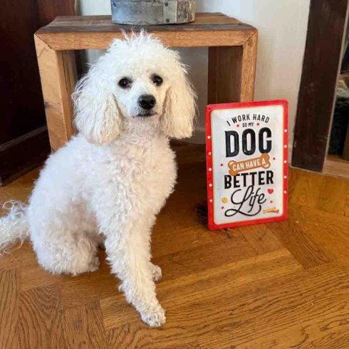 «Better dog life»-skilt, 20 x 30 cm